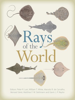 cover image of Rays of the World